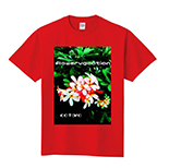 t-shirt design example